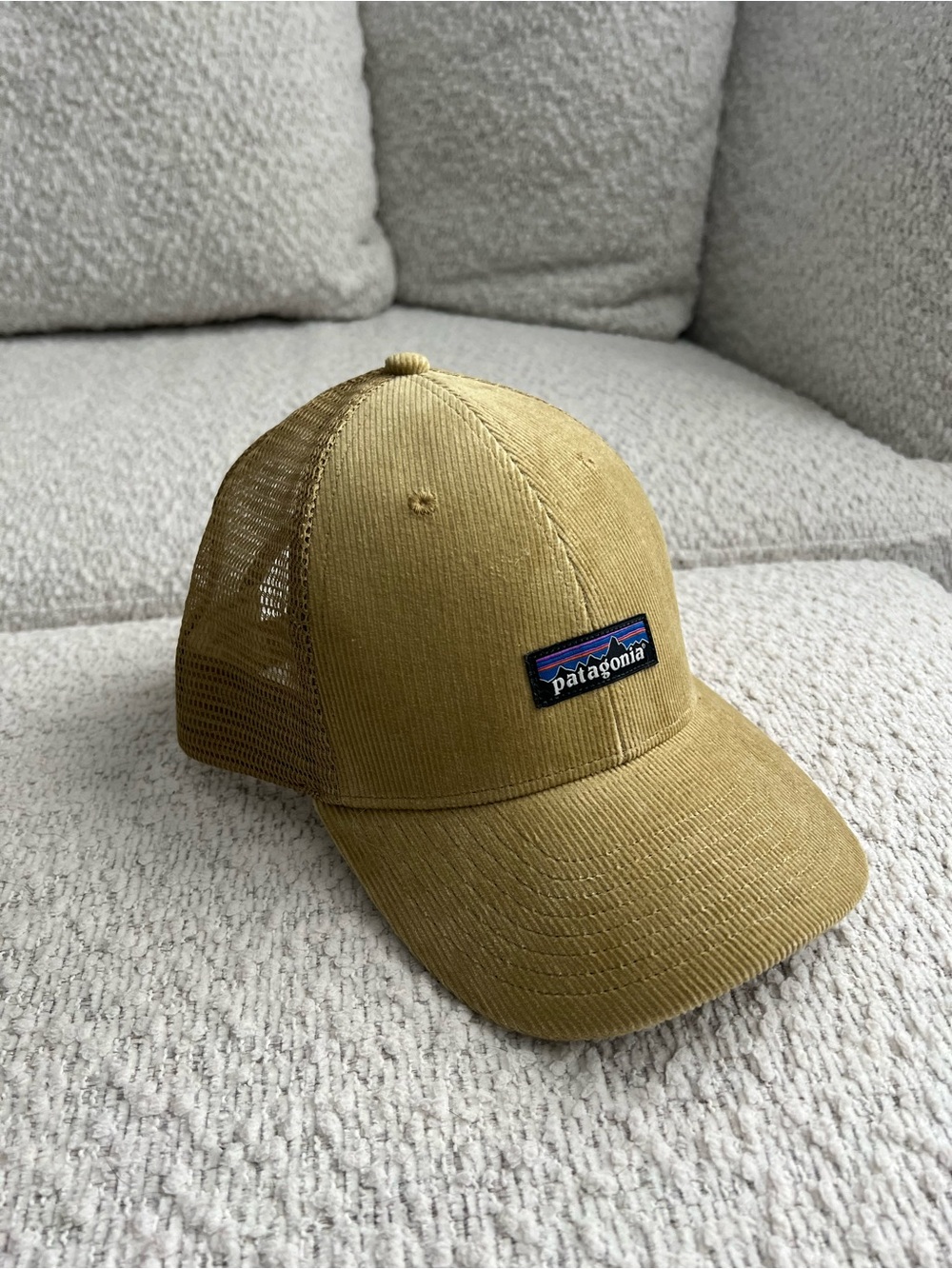 Patagonia trucker hat